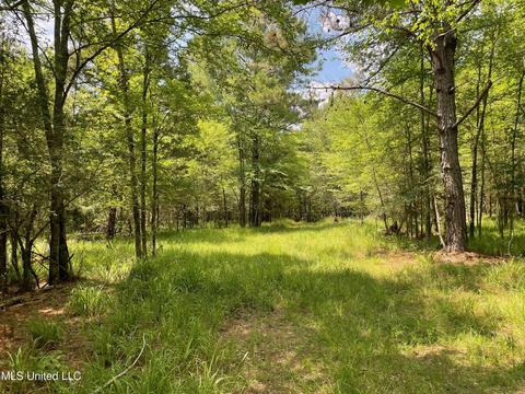 0001 Stout Rd, Canton, MS 39046 photo 30