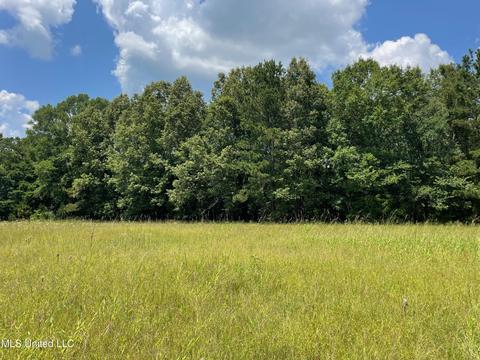 0001 Stout Rd, Canton, MS 39046 photo 31