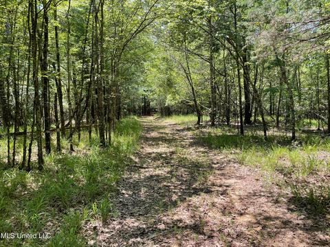 0001 Stout Rd, Canton, MS 39046 photo 36