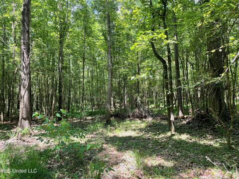 0001 Stout Rd, Canton, MS 39046 photo 38