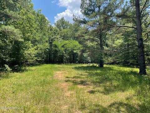 0001 Stout Rd, Canton, MS 39046 photo 25