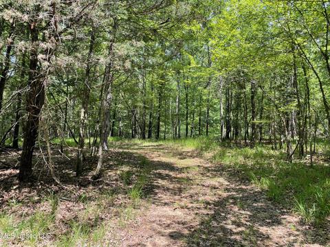 0001 Stout Rd, Canton, MS 39046 photo 33