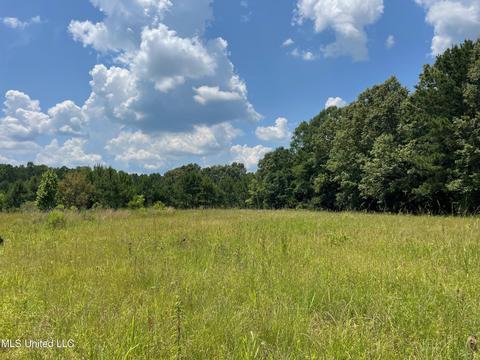 0001 Stout Rd, Canton, MS 39046 photo 5