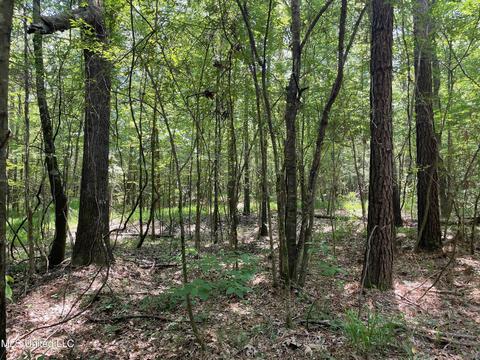 0001 Stout Rd, Canton, MS 39046 photo 28