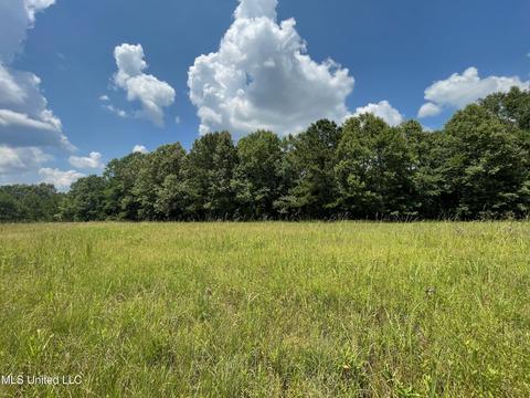0001 Stout Rd, Canton, MS 39046 photo 37