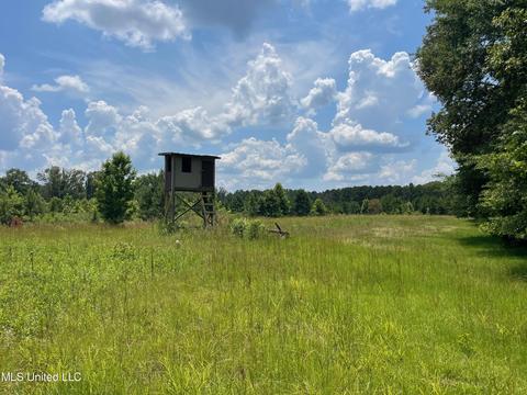0001 Stout Rd, Canton, MS 39046 photo 7