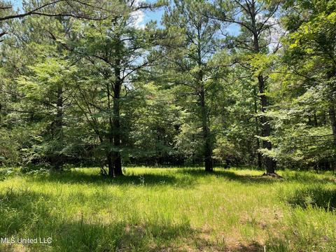 0001 Stout Rd, Canton, MS 39046 photo 34