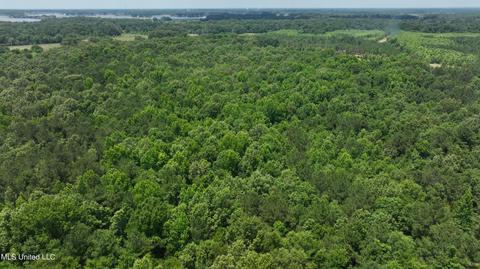 0001 Stout Rd, Canton, MS 39046 photo 6