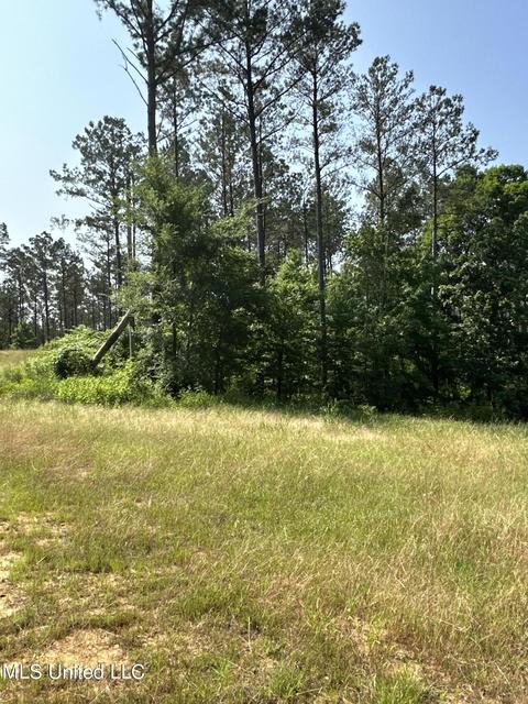 County Rd 323, Taylor, MS 38673 photo 32