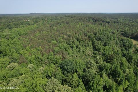 County Rd 323, Taylor, MS 38673 photo 7