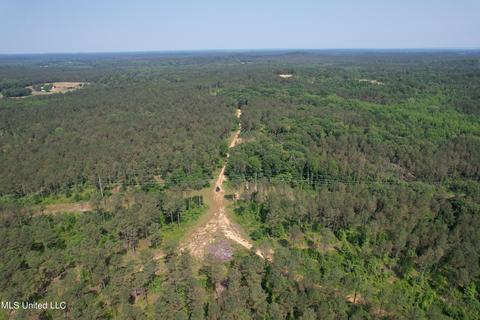 County Rd 323, Taylor, MS 38673 photo 11
