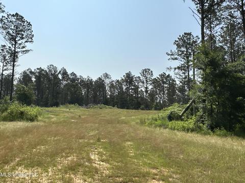 County Rd 323, Taylor, MS 38673 photo 33