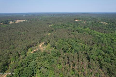 County Rd 323, Taylor, MS 38673 photo 9