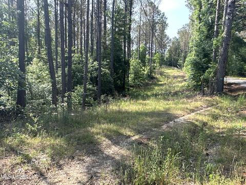 County Rd 323, Taylor, MS 38673 photo 16