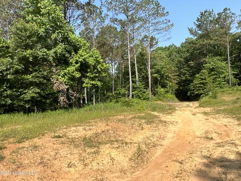 County Rd 323, Taylor, MS 38673 photo 28