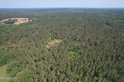 County Rd 323, Taylor, MS 38673 photo 12