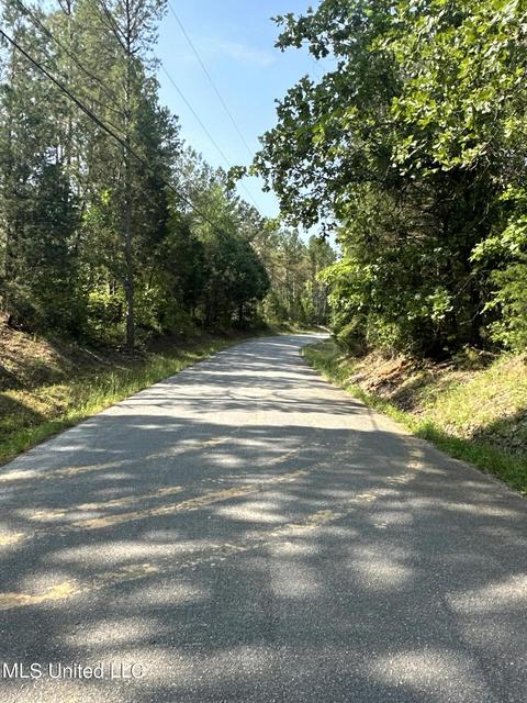 County Rd 323, Taylor, MS 38673 photo 17