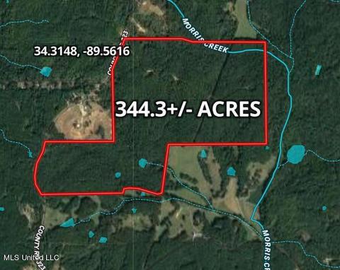 County Rd 323, Taylor, MS 38673 photo 4