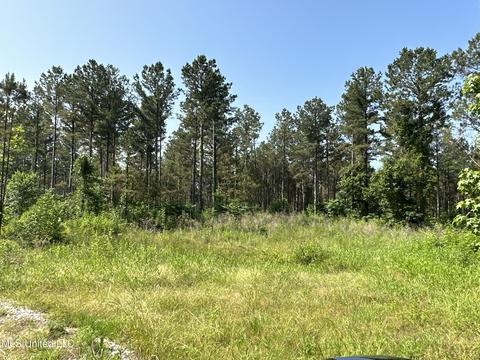 County Rd 323, Taylor, MS 38673 photo 20