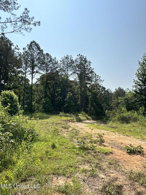 County Rd 323, Taylor, MS 38673 photo 25