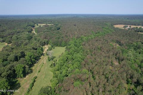 County Rd 323, Taylor, MS 38673 photo 14