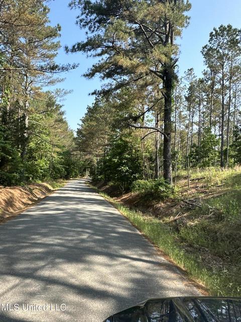County Rd 323, Taylor, MS 38673 photo 15