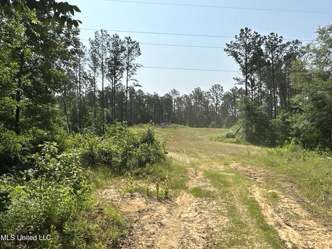 County Rd 323, Taylor, MS 38673 photo 30