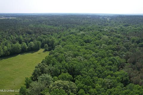 County Rd 323, Taylor, MS 38673 photo 8