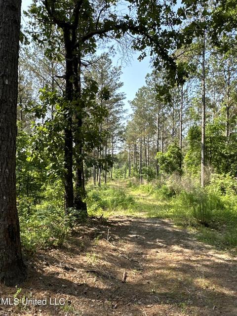 County Rd 323, Taylor, MS 38673 photo 37