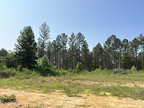 County Rd 323, Taylor, MS 38673 photo 24
