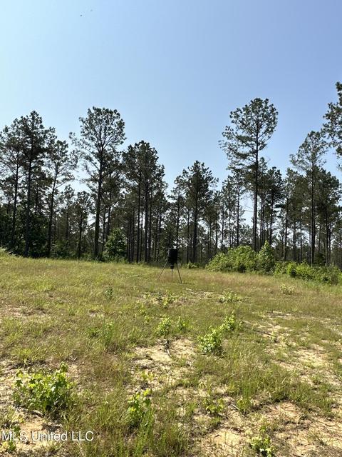 County Rd 323, Taylor, MS 38673 photo 36