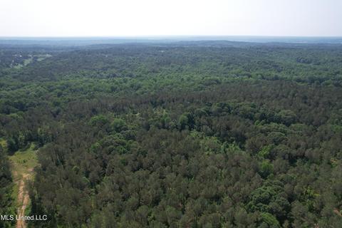 County Rd 323, Taylor, MS 38673 photo 10