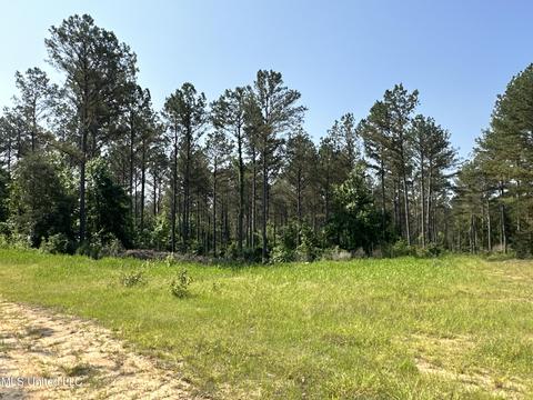 County Rd 323, Taylor, MS 38673 photo 27