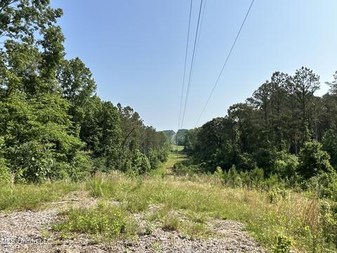 County Rd 323, Taylor, MS 38673 photo 34