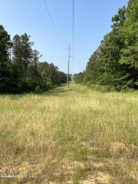County Rd 323, Taylor, MS 38673 photo 31