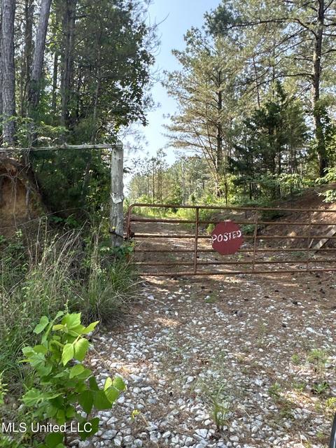 County Rd 323, Taylor, MS 38673 photo 19