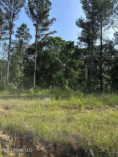 County Rd 323, Taylor, MS 38673 photo 26