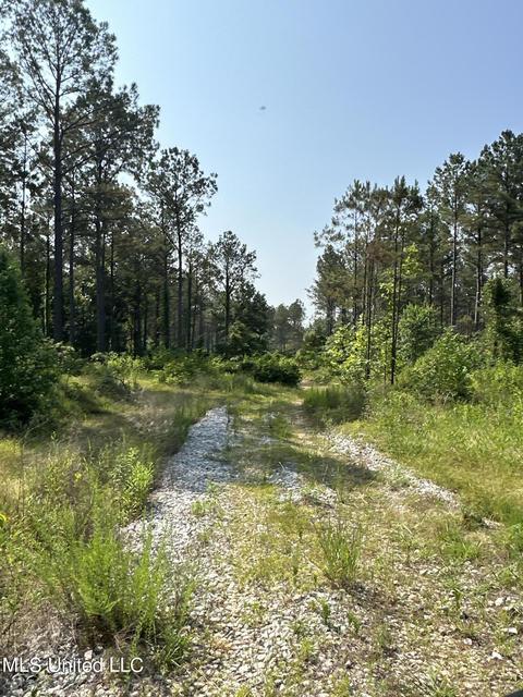 County Rd 323, Taylor, MS 38673 photo 21