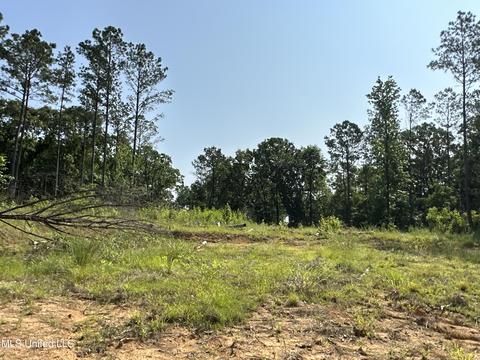 County Rd 323, Taylor, MS 38673 photo 29