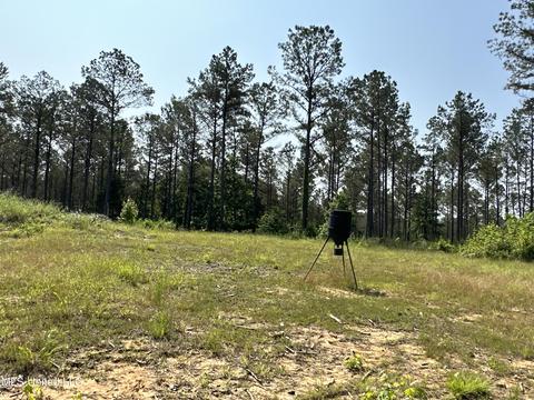 County Rd 323, Taylor, MS 38673 photo 35