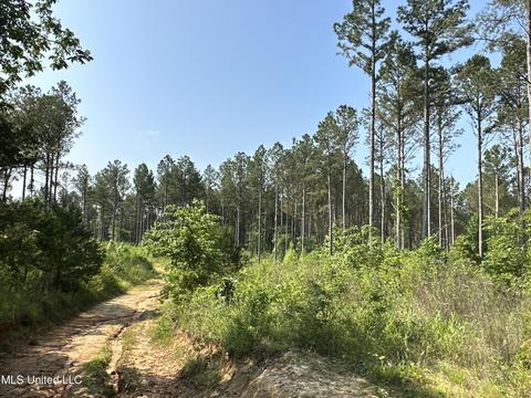 County Rd 323, Taylor, MS 38673 photo 22