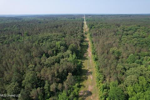 County Rd 323, Taylor, MS 38673 photo 6