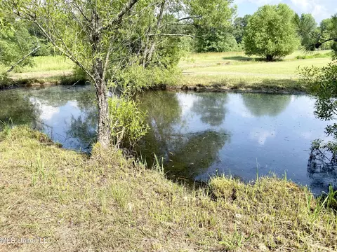 1021 Sojourner Ln, Georgetown, MS 39078 photo 26