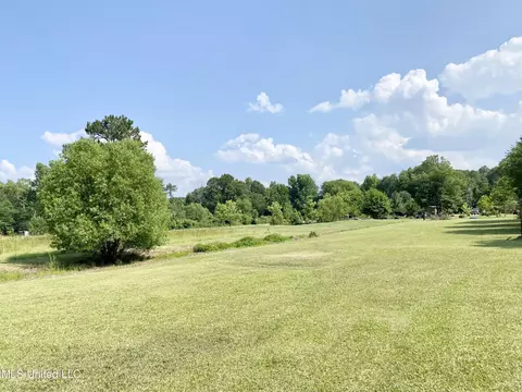 1021 Sojourner Ln, Georgetown, MS 39078 photo 27