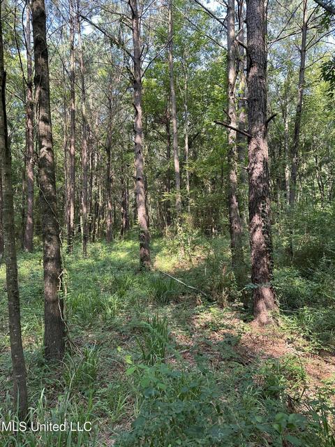 110 Leah Payton Dr, Brandon, MS 39047 photo 2