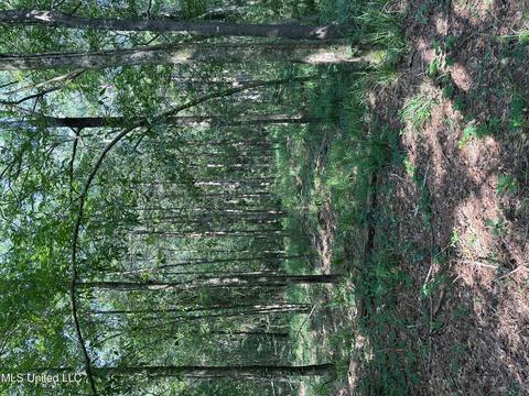 110 Leah Payton Dr, Brandon, MS 39047 photo 4