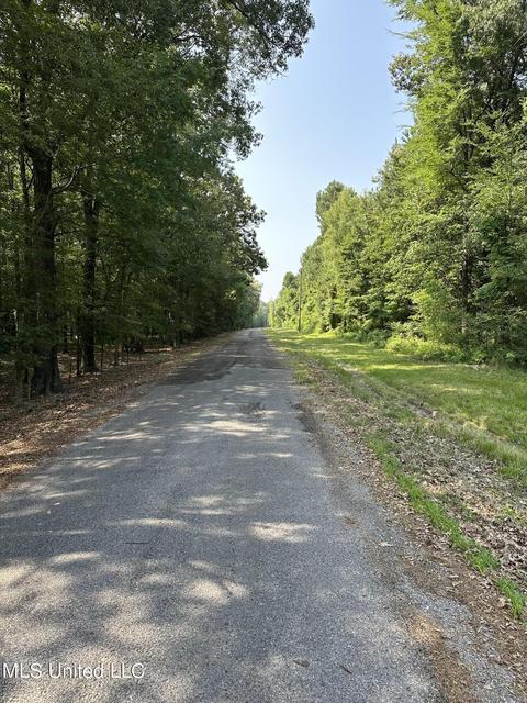 110 Leah Payton Dr, Brandon, MS 39047 photo 5