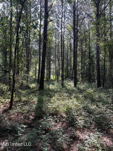 110 Leah Payton Dr, Brandon, MS 39047 photo 3