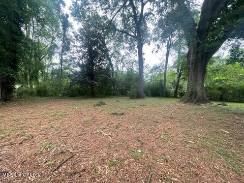 252 Glenside Dr, Jackson, MS 39211 photo 15