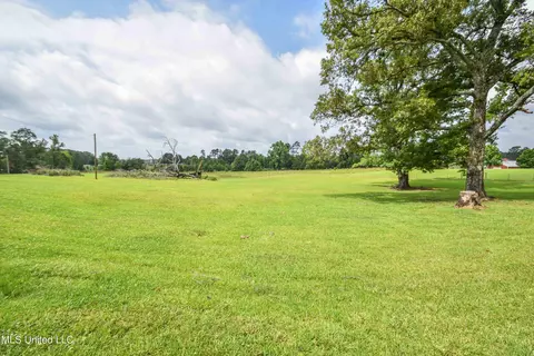 Exterior - 1480 Alana Dr, Terry, MS 39170 photo 40 of 43